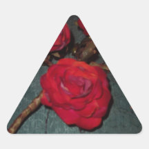Épousez-moi… s'est levé sticker en triangle