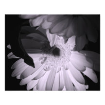 Épreuve photographique "de poésie de Gerber"