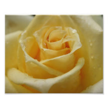 Épreuve photographique rose de la gouttelette 10x8