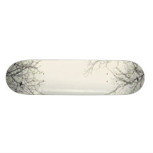 Équinoxe vernal skateboard customisable