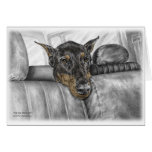 Équitation de chien de Pinscher de dobermann dans  Carte