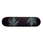 Érable argenté de plante plateaux de planche à roulettes