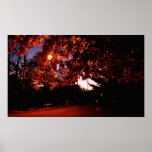 Érable de crépuscule éclairé à contre-jour par le  posters