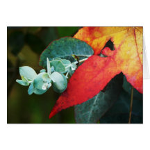 Érable et eucalyptus cartes de vœux
