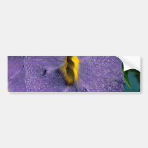 Erecta de Thumbergia, fleurs d'acanthaceae Autocollants Pour Voiture