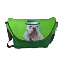 Erin vont bouledogue de Bragh Sacoches