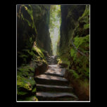 Escalier mystique cartes postales
