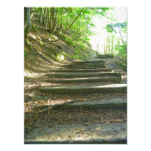 Escaliers jusqu'à la forêt tirages photo