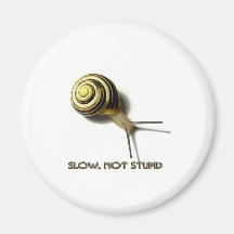 ESCARGOT AVEC LA LÉGENDE DE JUNGLEWALK.COM MAGNETS