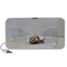Escargot de jardin anglais sur une roche haut-parleur portable