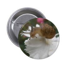 Escargot de jardin et bouton blanc d'oeillet pin's avec agrafe