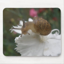 Escargot de jardin et oeillet blanc Mousepad Tapis De Souris