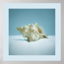 Escargot de mer - affiche