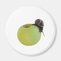 Escargot et pomme magnets