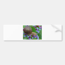Escargot sur des fleurs autocollant pour voiture