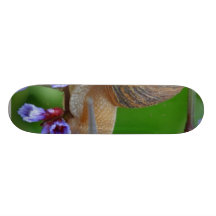 Escargot sur des fleurs plateau de skate