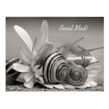 Escargots de jardin de snail mail sur la photo de  cartes postales