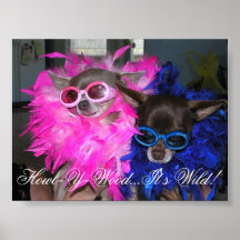 Ese et Lola vont Hollywood Affiche