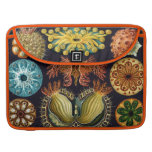 Espèce marine aquatique de Haeckel Poches Pour Macbook