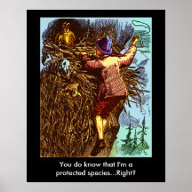 Espèces protégées… posters