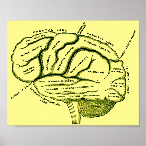 Esprit humain posters