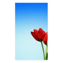 Esthétique blanche rouge de ressort de tulipes est cartes de visite personnelles