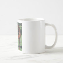 ÉTALON ARABE TASSES
