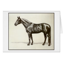 Étalon de Trakehner Carte De Vœux