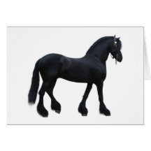 étalon noir carte de vœux
