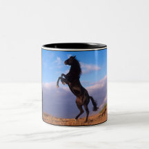Étalon noir mug à café