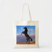 Étalon noir sac
