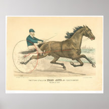 Étalon Palo Alto de trot par Electioneer (1791A) Posters