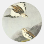 Étamine de neige - John James Audubon Adhésifs Ronds