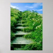 Étapes d'été affiches