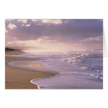 Éternité, coucher du soleil pittoresque de plage cartes de vœux