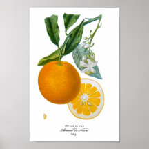 Étiquette 9 d'orangers de DES de naturelle de Hist Poster