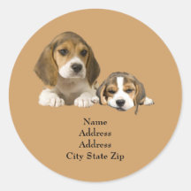 Étiquette de adresse d'amis de beagle autocollants ronds