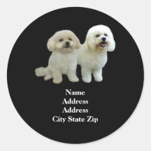Étiquette de adresse d'amis de Bichon Adhésifs