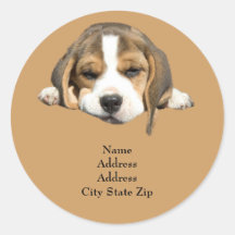 Étiquette de adresse de beagle autocollants ronds