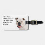Étiquette de bagage de bouledogue