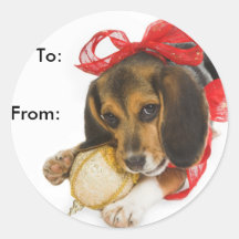 Étiquettes de cadeau de chiot de beagle adhésif rond