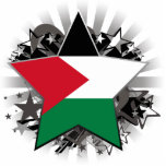 Étoile de la Palestine Découpages En Acrylique