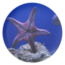 Étoiles de mer, étoile lumineuse ! assiette