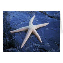 Étoiles de mer sur la roche de lave carte de vœux