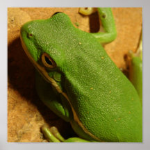 Être facile vert poster