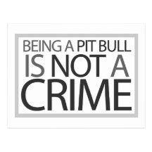 Être un pitbull n'est pas un crime cartes postales