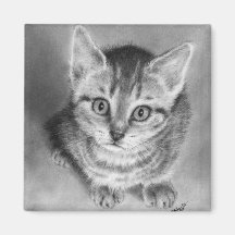 Étreignez-moi aimant de chaton