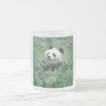 Étreintes d'ours panda tasses
