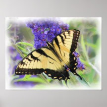 ets_P7220474_Paintmore Posters