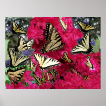 ets_pink_multi_zazzle poster